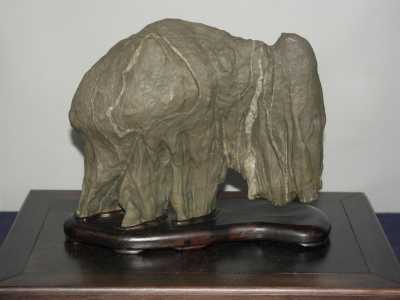 Una pietra raffigurante un mammut